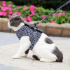 Cat Dogs Vest Harness and Leash Anti-break Away Chest Strap Cat Clothes