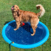 Dog Splash Sprinkler Pad