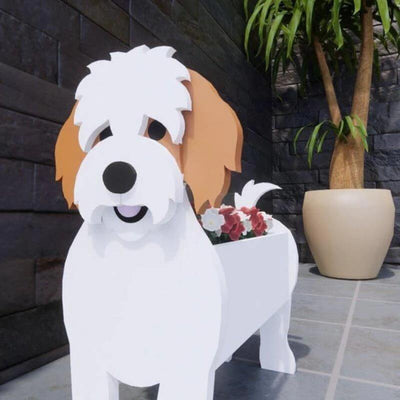 Cavachon Planter AP028