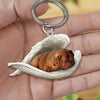 Sleeping Angel Acrylic Keychain Dogue de Bordeaux SA130