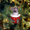 Chihuahua In Snow Pocket Christmas Ornament SP119