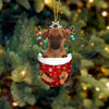 Brown Jack Russell In Snow Pocket Christmas Ornament SP131