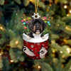 Portuguese Water Dog In Snow Pocket Christmas Ornament SP138