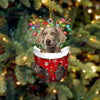 Weimaraner In Snow Pocket Christmas Ornament SP279