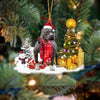 American Bully Dog Christmas Ornament SM110