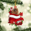 Cavalier King Charles Spaniel In Gift Bag Christmas Ornament GB001