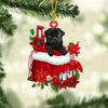 Pug In Gift Bag Christmas Ornament GB055