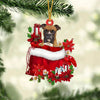 Boxer In Gift Bag Christmas Ornament GB091