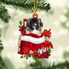 Pekingese In Gift Bag Christmas Ornament GB117