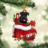 Schnauzer In Gift Bag Christmas Ornament GB131