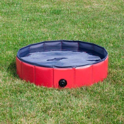 Portable Pool